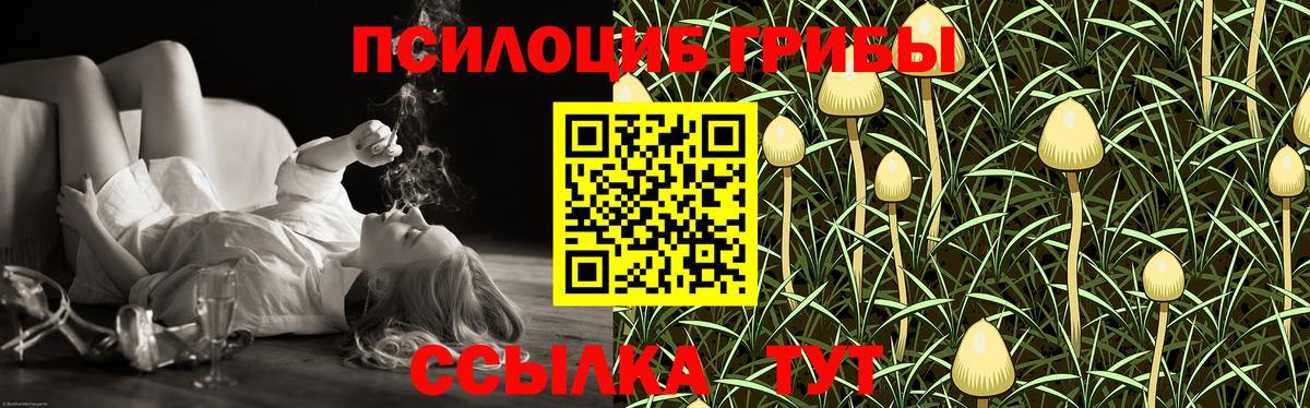 Галлюциногенные грибы мицелий Советский